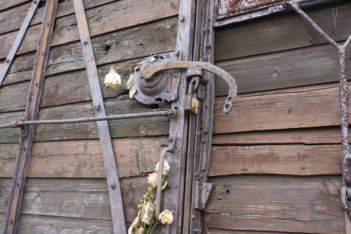 53_-_Birkenau_2.JPG