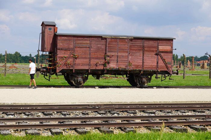 63_-_Birkenau_11.JPG