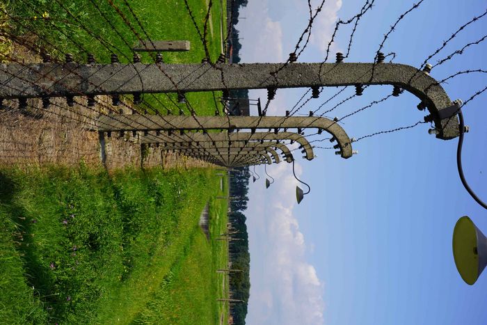 56_-_Birkenau_4.JPG
